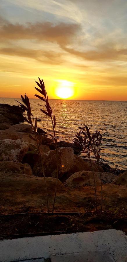 Penny'S Kato Paphos Apartment Экстерьер фото